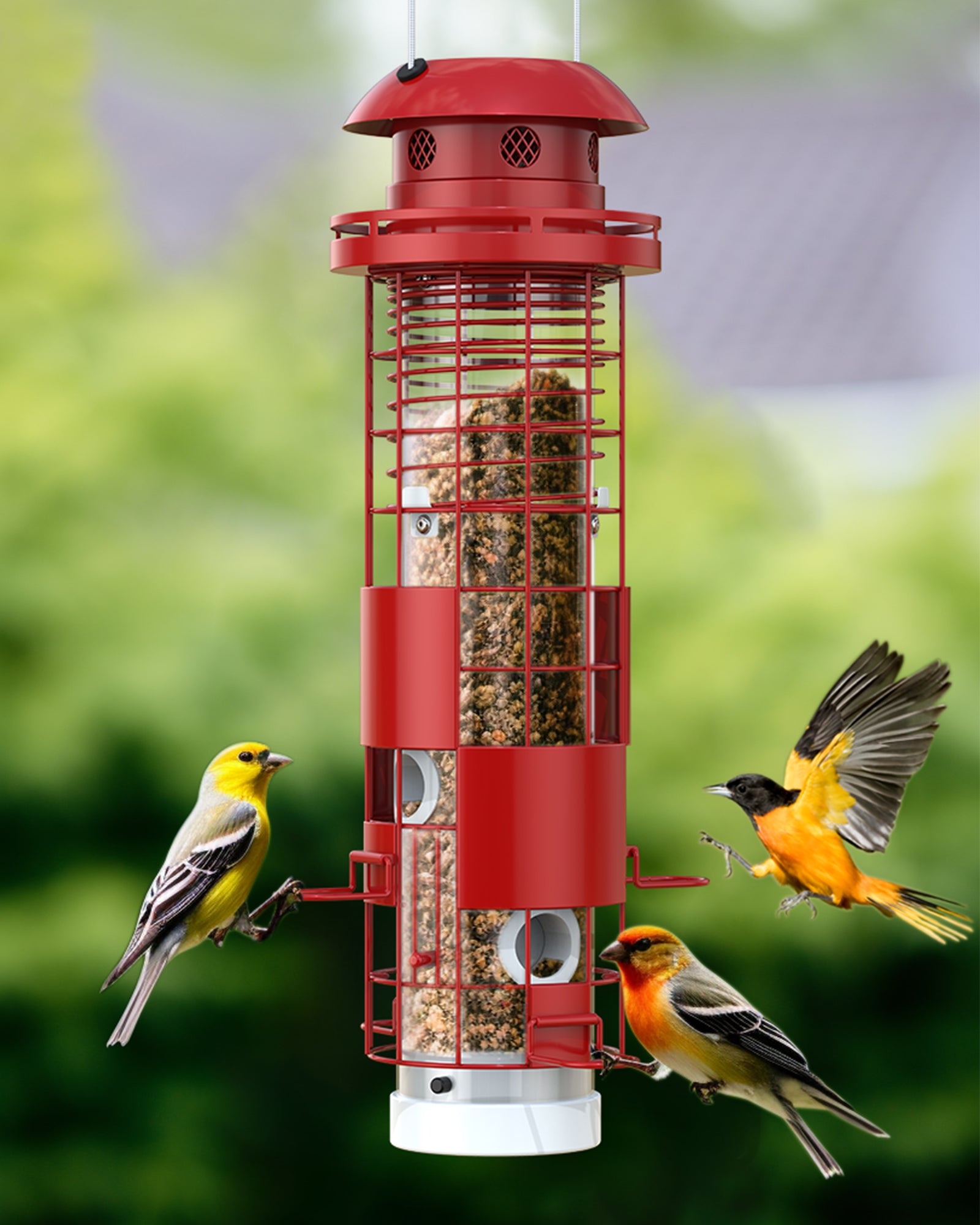 KOWOLL Bird Feeder Model Number: 0002BF